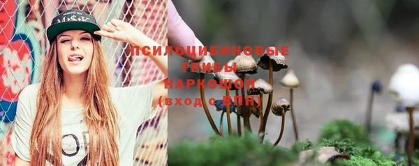 бутират Белокуриха