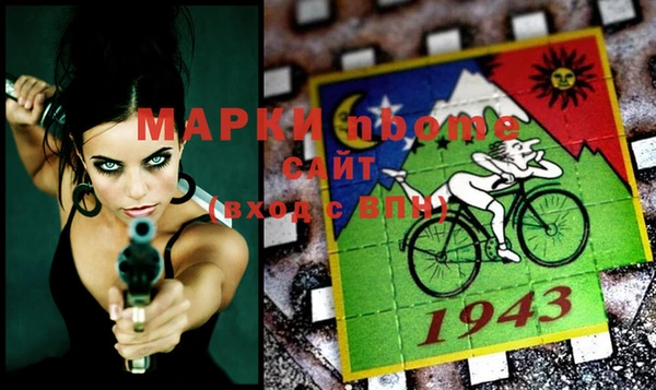 шишки Беломорск