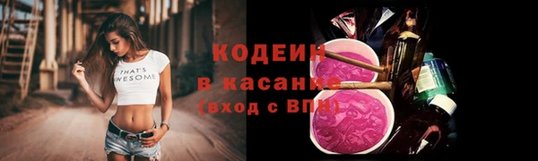 шишки Беломорск