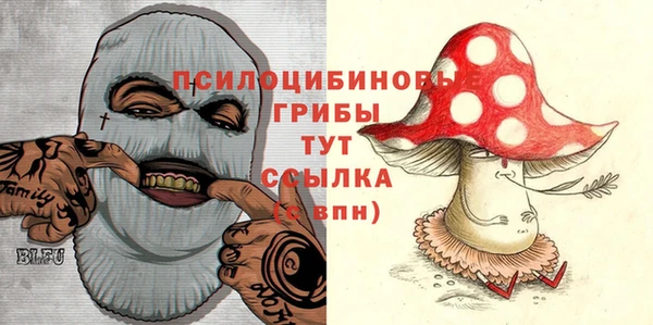 шишки Беломорск