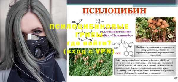 шишки Беломорск