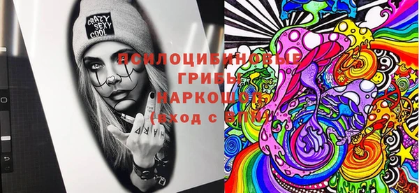 шишки Беломорск