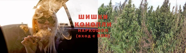 бутират Белокуриха